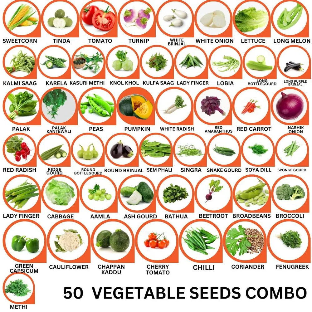 50 Varieties of Vegetable Seeds Combo -Vegetable Seeds Combo Pack