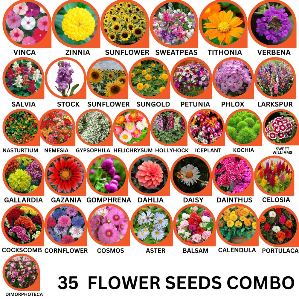 35 Flower Seeds Combo Pack - Flower Seeds Combo Pack