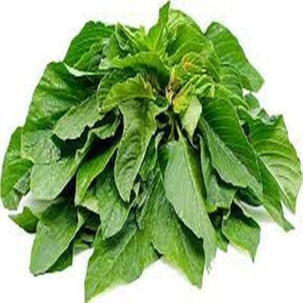 ARKA Samraksha -TFL Veg.AMARANTH Hybrid -Vegetable Seeds