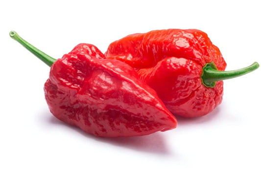 Hybrid NAGA Chilli Ghost Pepper World Hottest Chilli 30 seeds - Vegetable Seeds