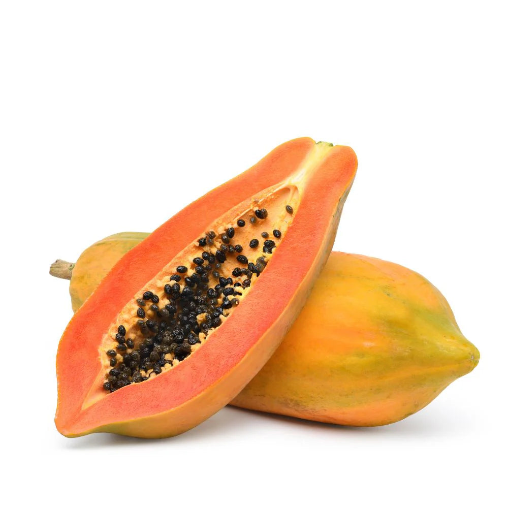 Taiwan Papaya Seeds for Planting | F1 Hybrid Red Lady, Dwarf Papaya Variety (15 Seeds) - Fruit Seeds