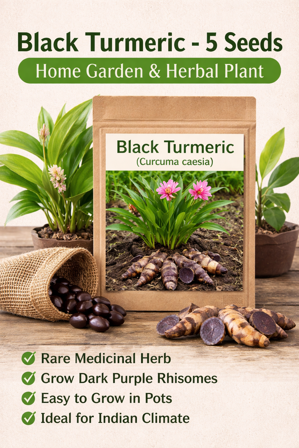 Black Turmeric (Curcuma Caesia) – 5 Seeds | Rare Medicinal Plant - Rhizome & Bulbs