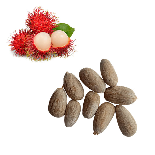 Binjai (Indonesia/Malaysia) Rambutan Hybrid Exotic Fruit Seeds, Pack of 5 - Fruit Seeds