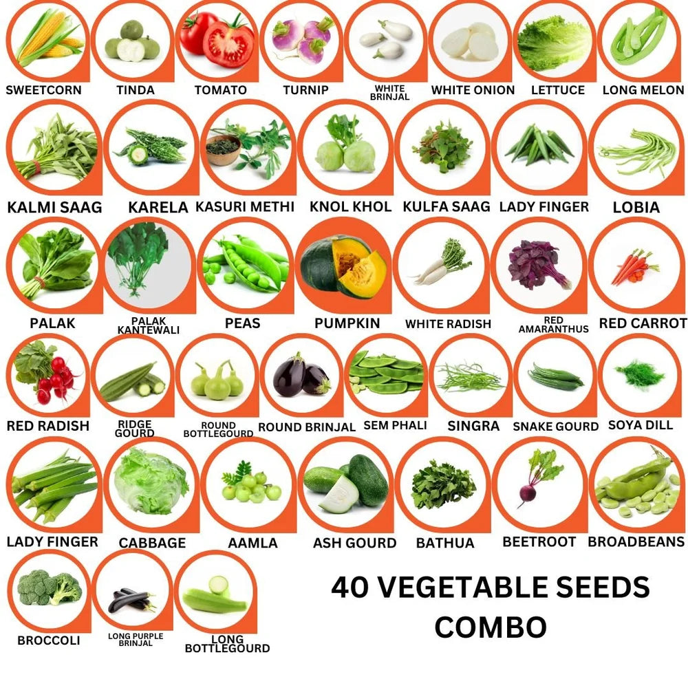 40 Varieties of Vegetable Seeds Combo -Vegetable Seeds Combo Pack