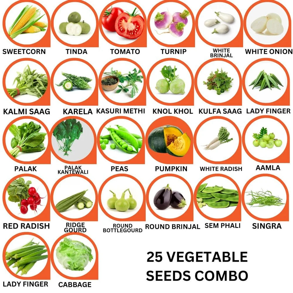 25 Varieties of Vegetable Seeds Combo -Vegetable Seeds Combo Pack