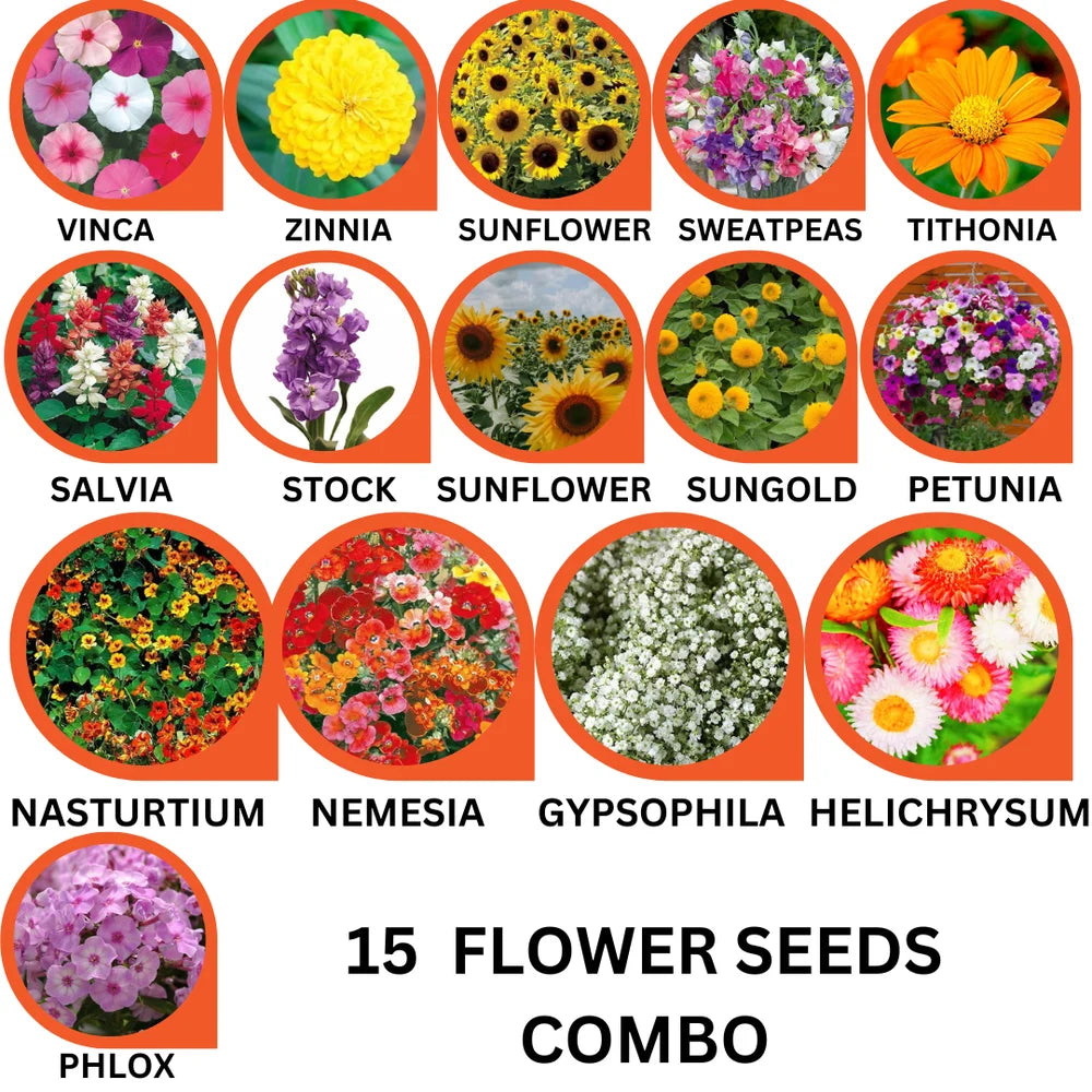 15 Flower Seeds Combo Pack  - Flower Seeds Combo Pack