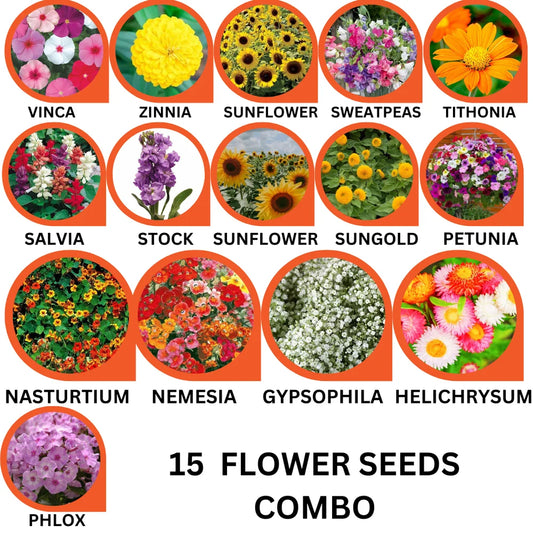 15 Flower Seeds Combo Pack  - Flower Seeds Combo Pack