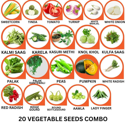 20 Varieties of Vegetable Seeds Combo -Vegetable Seeds Combo Pack