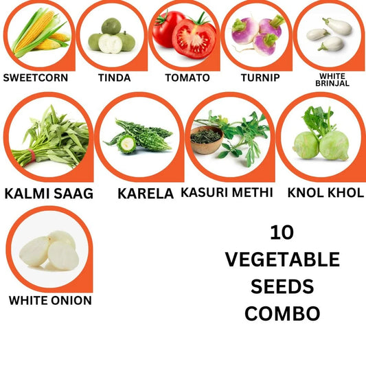 10 Varieties of Vegetable Seeds Combo -Vegetable Seeds Combo Pack