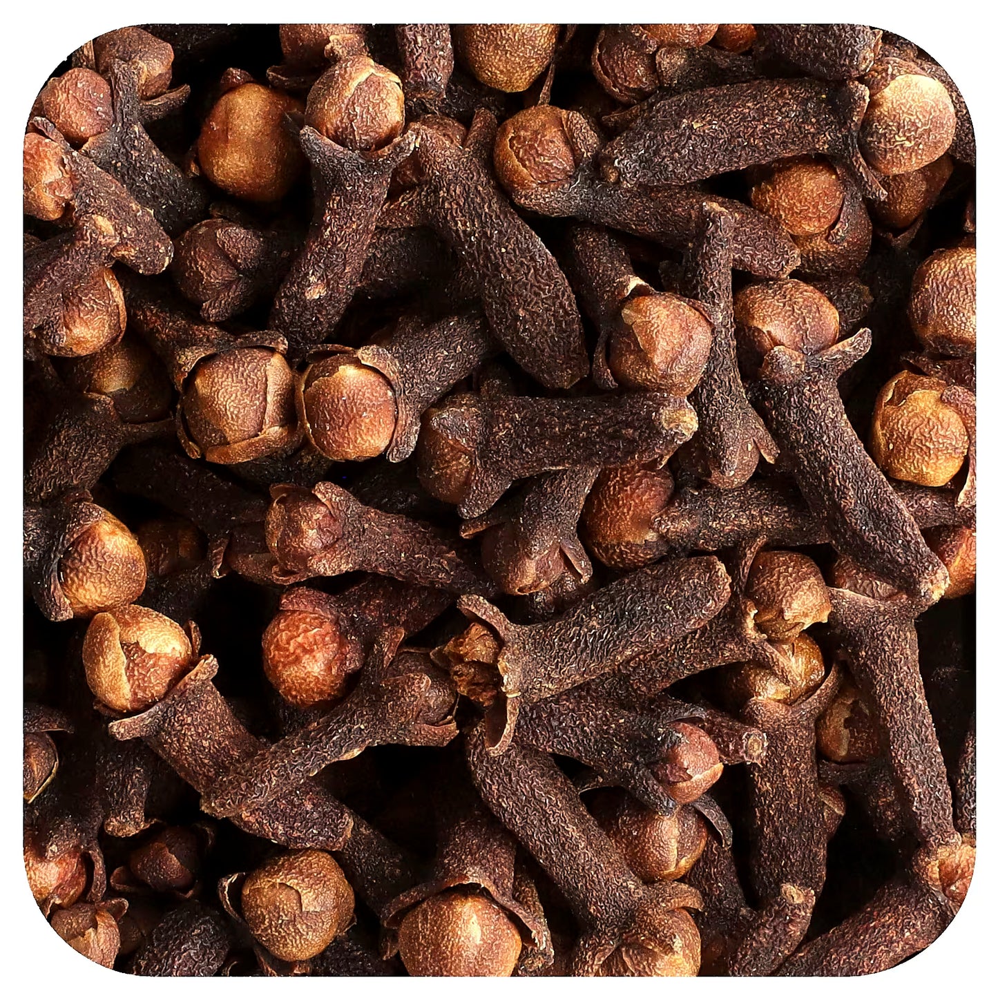 Plants Guru Premium Clove (Laung) – 250g -Spices