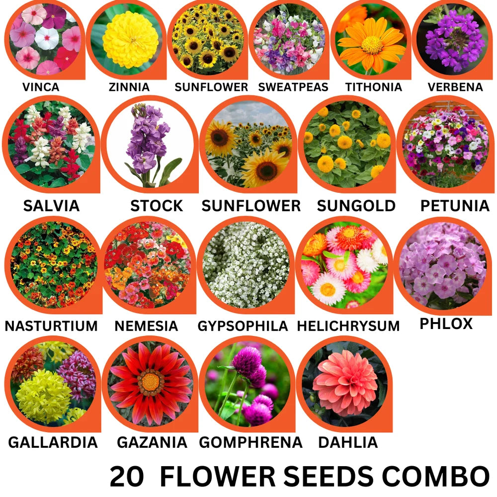 20 Flower Seeds Combo Pack - Flower Seeds Combo Pack