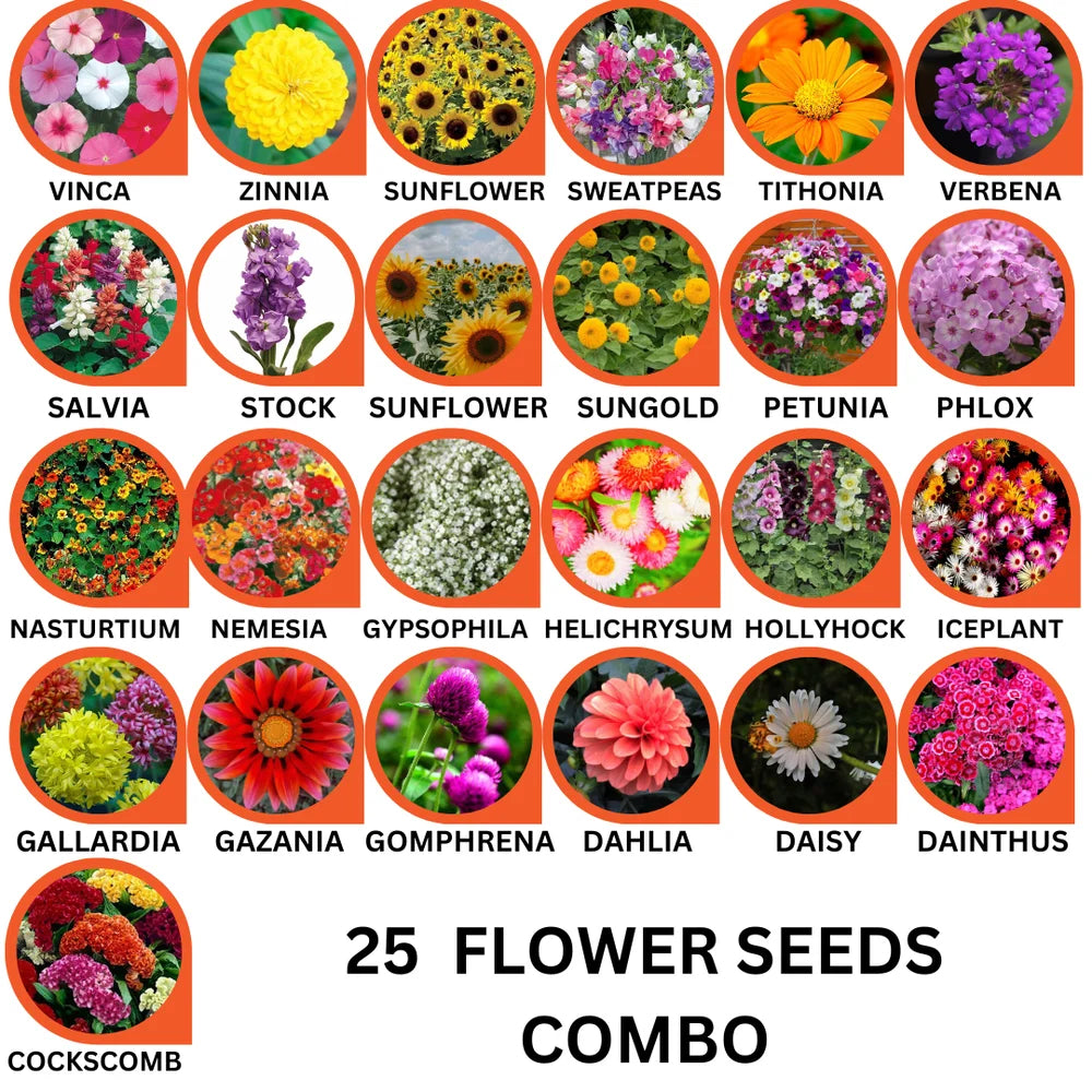 25 Flower Seeds Combo Pack - Flower Seeds Combo Pack