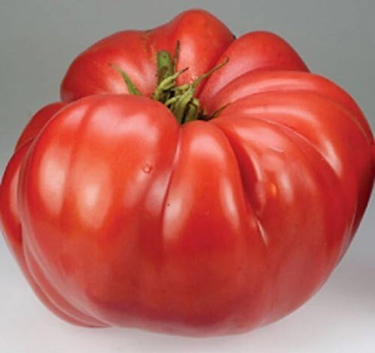 🍅 Beefsteak Tomato Hybrid Seeds – 100 Seeds, Large & Juicy Fruits  -Vegetable Seeds