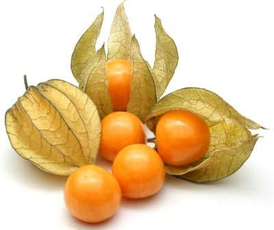 Rare Hybrid Golden Berry  Exotic  Fruit Seeds for Growing (Pack of 30 seeds)