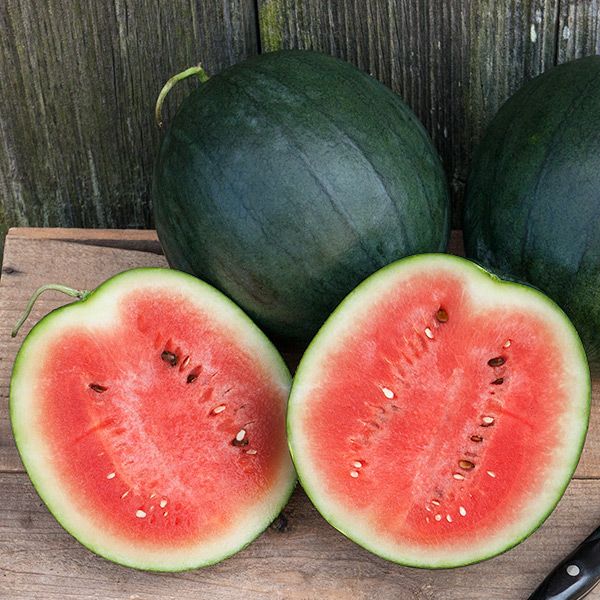 Sugar Baby Watermelon Seeds – Sweet, Juicy, Early-Maturing Variety - Fruit Seeds