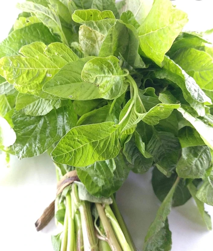 ARKA Suguna -TFL Veg.AMARANTH Hybrid -Vegetable Seeds