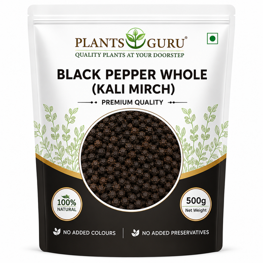 Plants Guru Black Pepper Whole (Kali Mirch) – 500g-Spices
