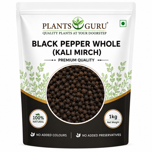 Plants Guru Black Pepper Whole (Kali Mirch) – 1kg-Spices