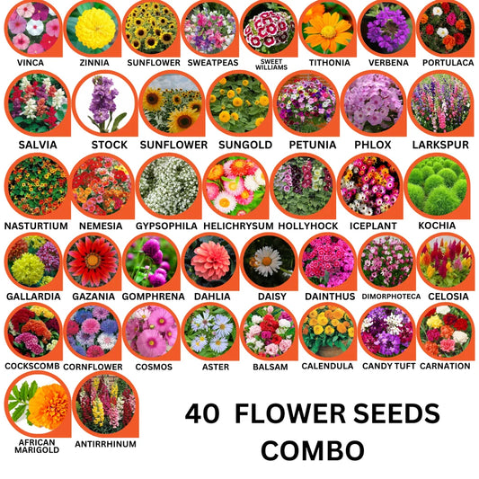 40 Flower Seeds Combo Pack - Flower Seeds Combo Pack