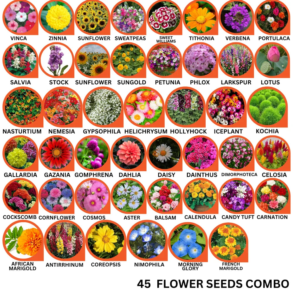 45 Flower Seeds Combo Pack - Flower Seeds Combo Pack