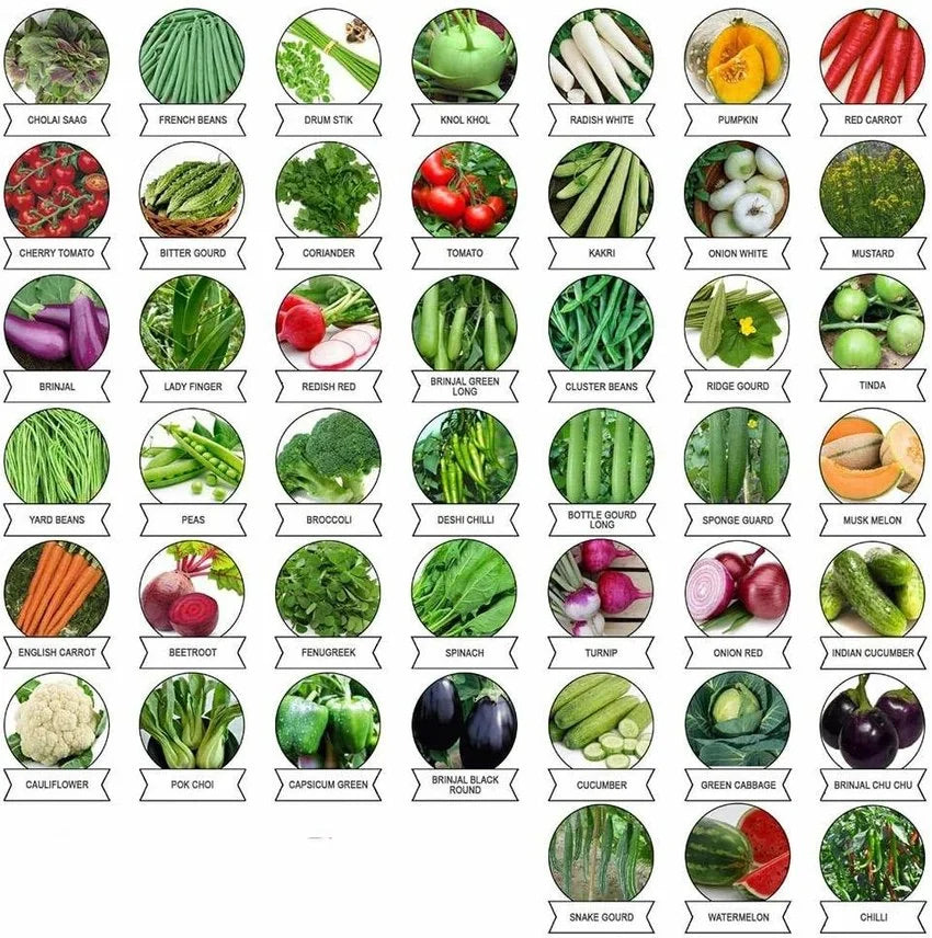 45 Varieties of Vegetable Seeds Combo -Vegetable Seeds Combo Pack
