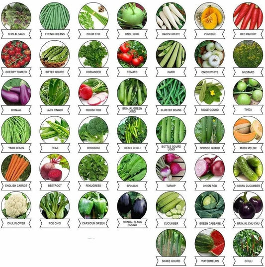 45 Varieties of Vegetable Seeds Combo -Vegetable Seeds Combo Pack
