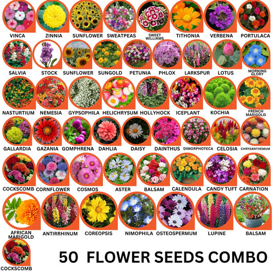 50 Flower Seeds Combo Pack - Flower Seeds Combo Pack