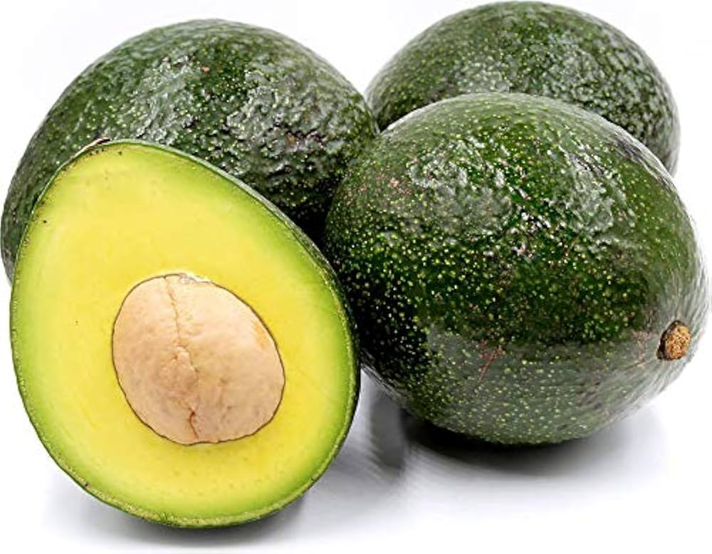 Reed Avocado Seeds – Pack of 2 - Fruit Seeds