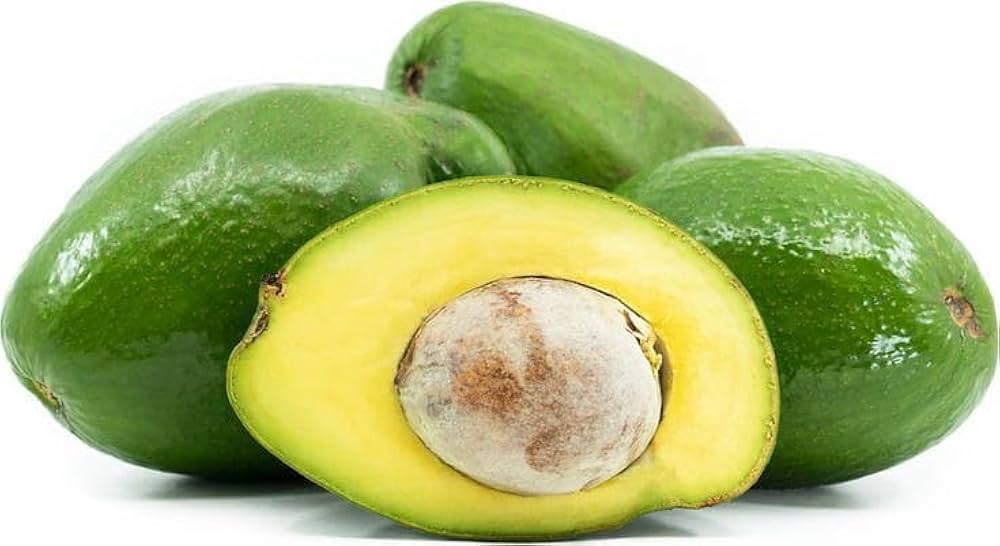 Choquette Avocado Seeds – Pack of 2 - Fruit Seeds