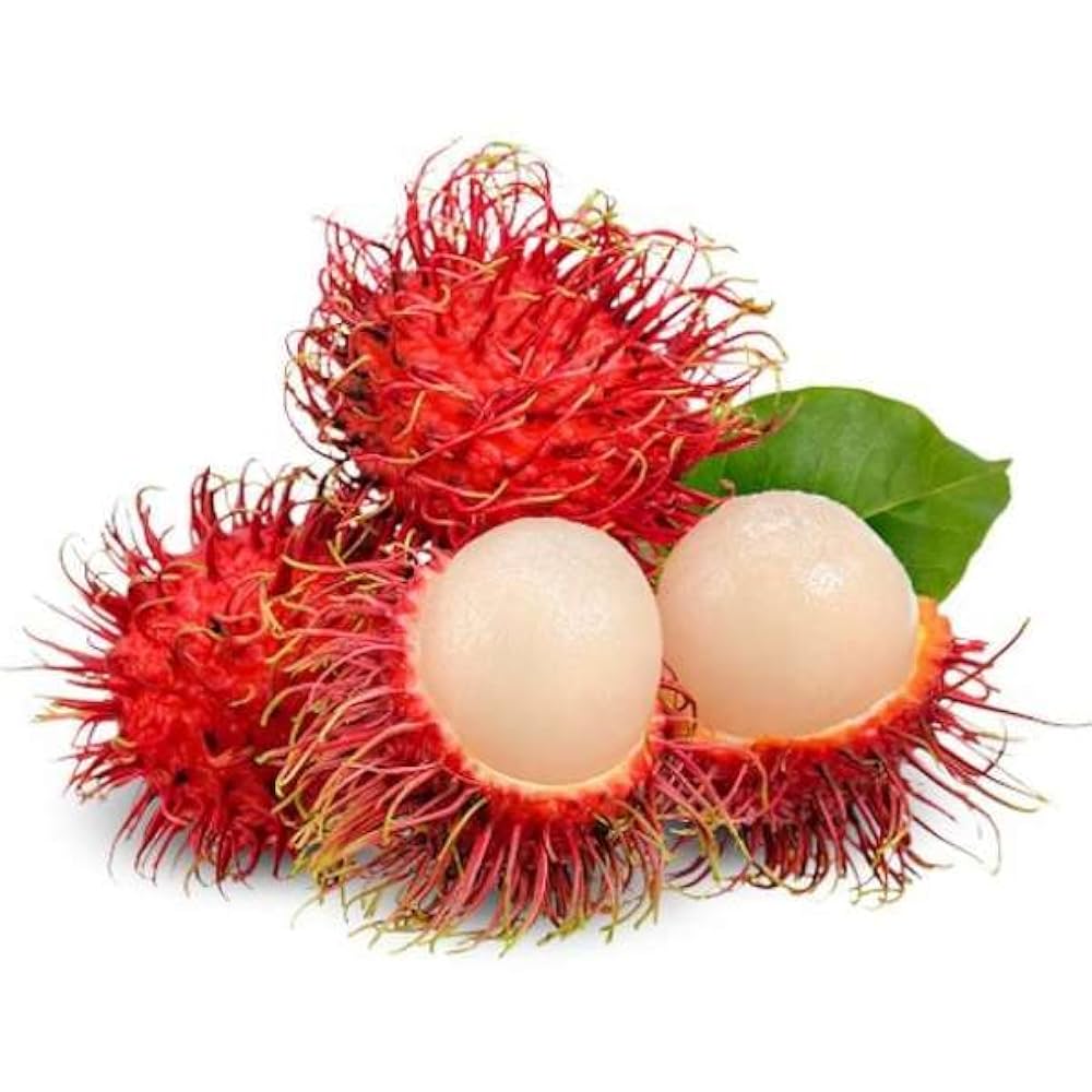 R-134 (Malaysia) Rambutan Hybrid Exotic Fruit Seeds, Pack of 5 - Fruit Seeds