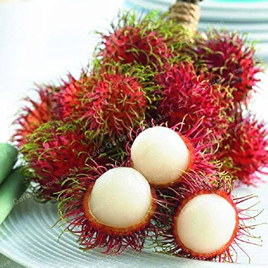 R-134 (Malaysia) Rambutan Hybrid Exotic Fruit Seeds, Pack of 5 - Fruit Seeds