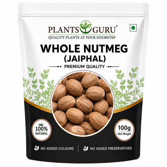 Plants Guru Whole Nutmeg (Jaiphal) 100g | Premium Whole Nutmeg | Naturally Dried | No Added Colours | No Added Preservatives | Aromatic Spice for Sweets, Curries, Baking & Masala-Spices (Copy)