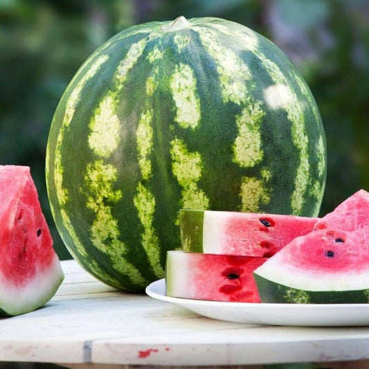 Crimson Sweet Watermelon Seeds – Large, Striped, Extra-Sweet Red Flesh (Pack of 10) - Fruit Seeds