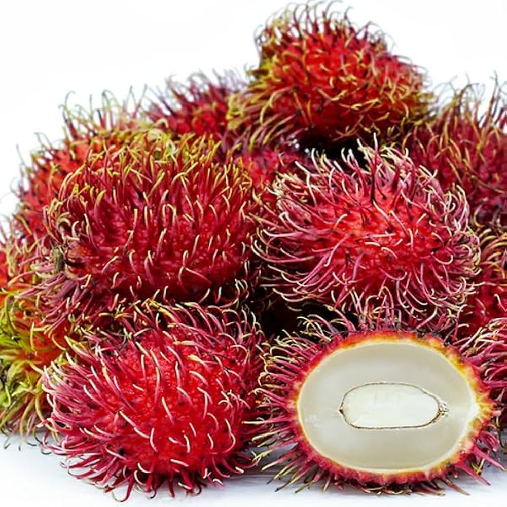 Lebak Bulus (Indonesia) Rambutan Hybrid Exotic Fruit Seeds, Pack of 5 - Fruit Seeds