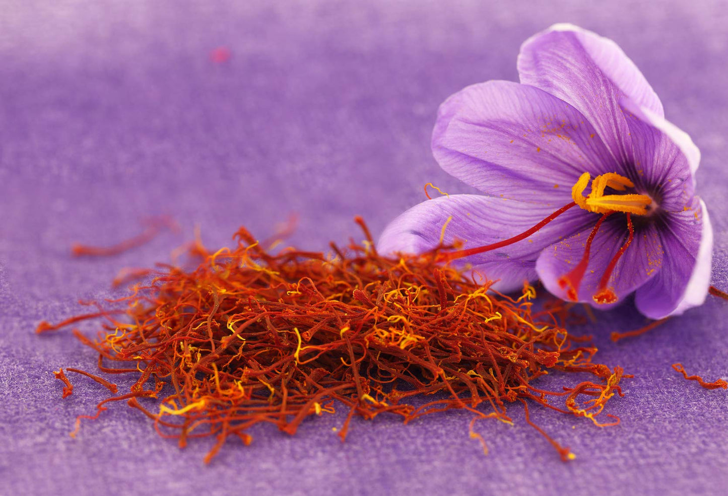 Kashmiri Saffron 3 Bulbs – Premium Quality Crocus Sativus for Home & Commercial Cultivation - Bulbs