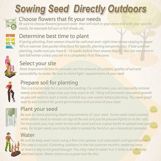 Exotic Rainbow Hibisucs Flower Seeds, Pack of 20 Seeds -Flower Seeds