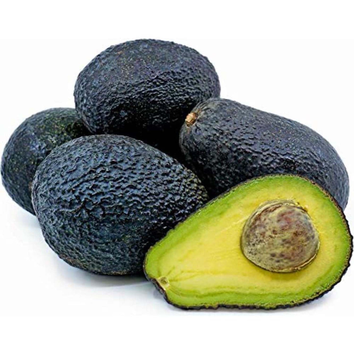 Lamb Hass Avocado Seeds – Pack of 2 - Fruit Seeds