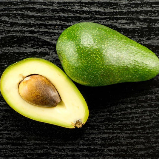 Fuerte Avocado Seeds – Pack of 2 - Fruit Seeds