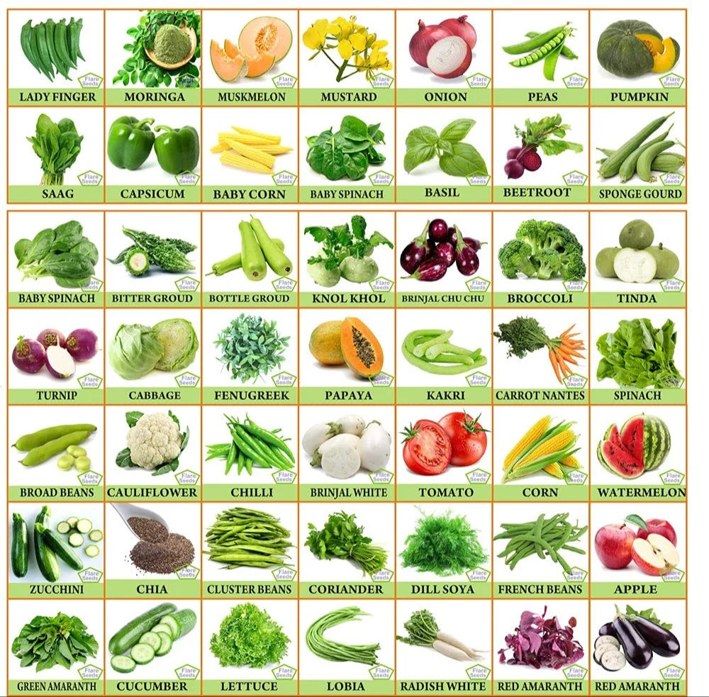 65 Varieties of Vegetable Seeds Combo -Vegetable Seeds Combo Pack