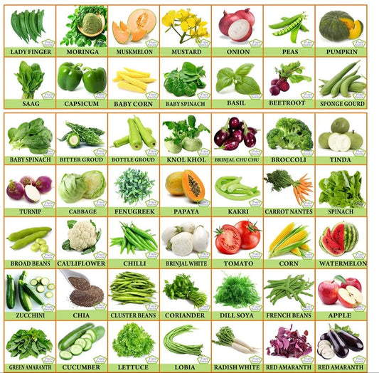 65 Varieties of Vegetable Seeds Combo -Vegetable Seeds Combo Pack