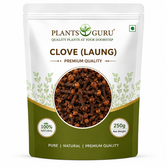 Plants Guru Premium Clove (Laung) – 250g -Spices