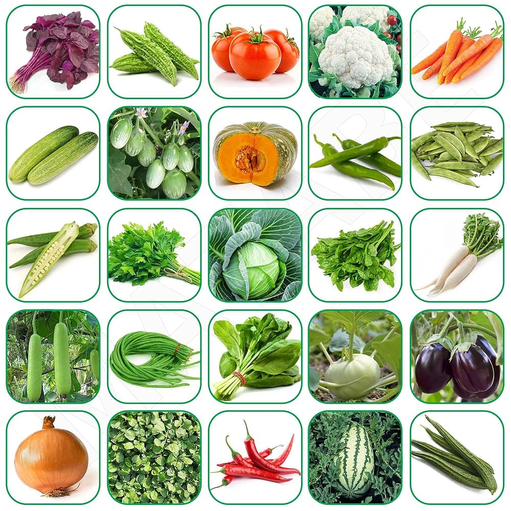 Indian Vegetable Seeds Combo Pack – Premium Quality Seeds for Home Garden & Kitchen Gardening - Vegetable Seeds