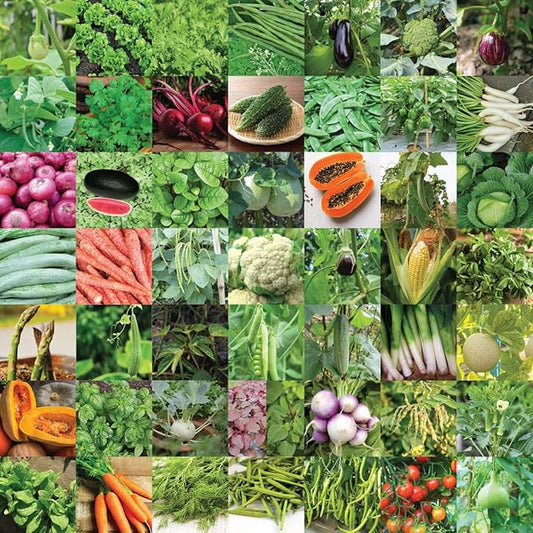Indian Vegetable Seeds Combo Pack – Premium Quality Seeds for Home Garden & Kitchen Gardening - Vegetable Seeds