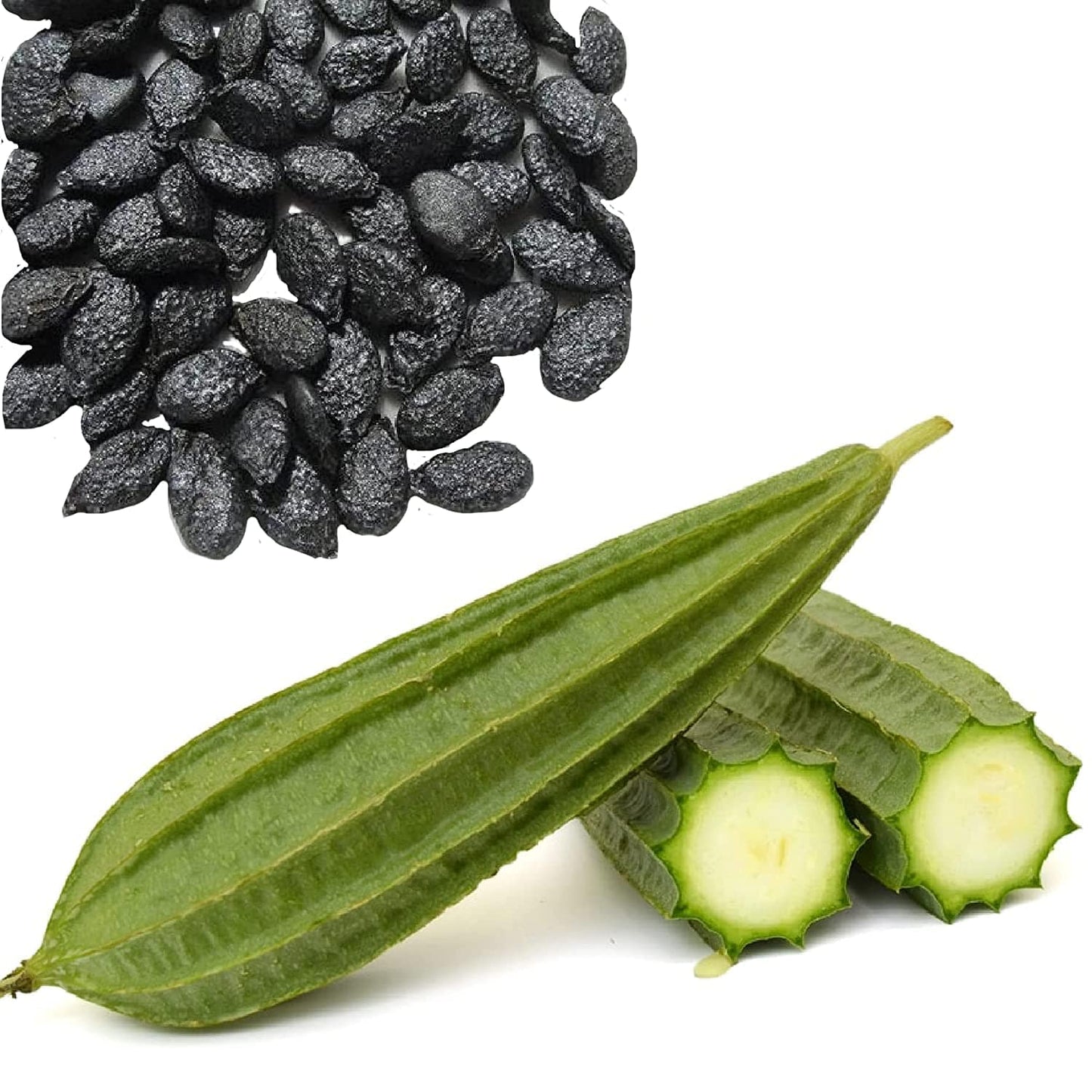 Ridge Gourd (Turai) (20 Seeds) Vegetable Seeds for Home Garden, Organic & Hybrid - Vegetable Seeds