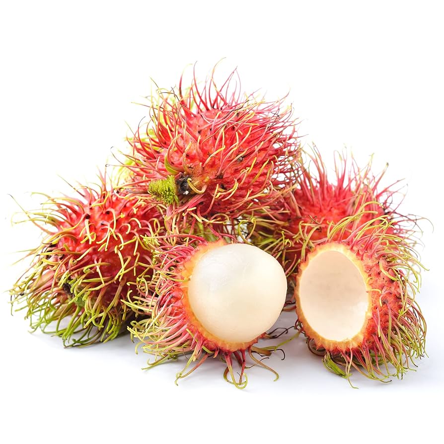 Jitlee (Thailand) Rambutan Hybrid Exotic Fruit Seeds, Pack of 5 - Fruit Seeds