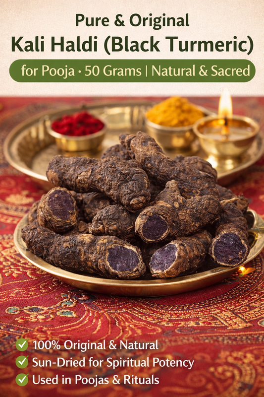Pure & Original Kali Haldi (Black Turmeric) for Pooja – 50 Grams | Natural & Sacred - Rhizome & Bulbs