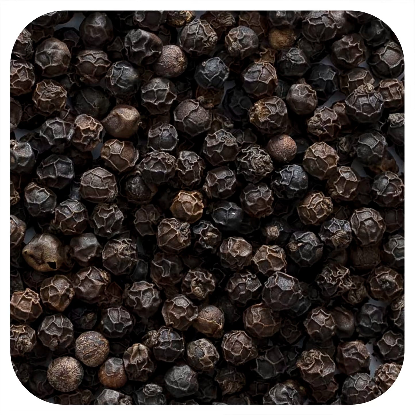 Plants Guru Black Pepper Whole (Kali Mirch) – 250g-Spices