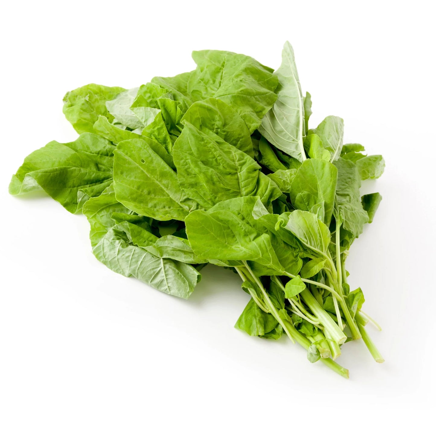 ARKA Suguna -TFL Veg.AMARANTH Hybrid -Vegetable Seeds