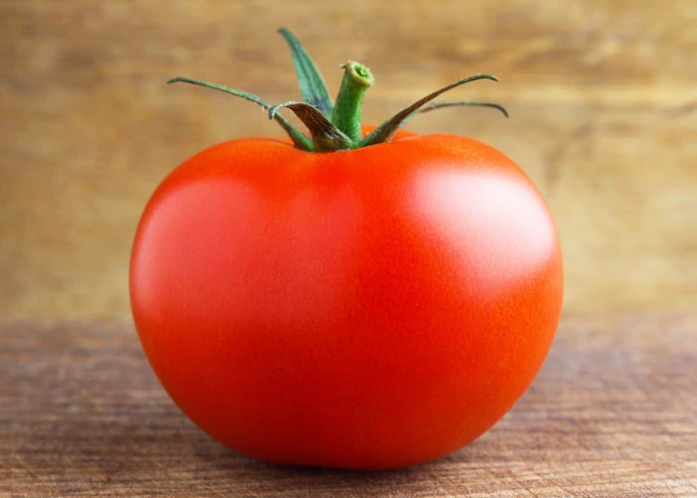 🍅 Celebrity Hybrid Tomato Seeds – 100 Seeds, All-Purpose & Disease-Resistant Variety -Vegetable Seeds