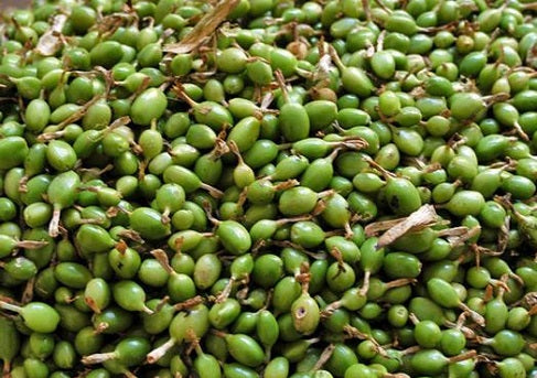 Plants Guru Idukki Green Cardamom (Elaichi) 50g | Bold Size (7–8 mm) | Premium Natural Green Cardamom | Distinctive Flavour & Aroma | No Artificial Colors | Whole Cardamom Pods -Spices